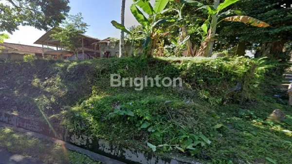 image LAND FOR RENT (2)