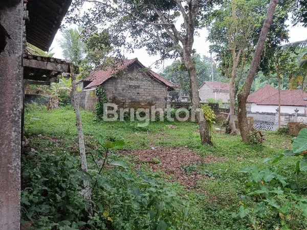 image LAND FOR RENT (4)