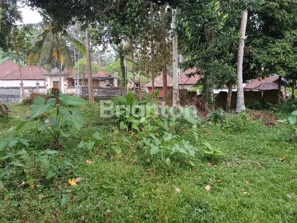 image LAND FOR RENT (6)