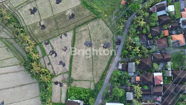 image TANAH KAVLING STRATEGIS DI BUWIT KEDIRI (2)