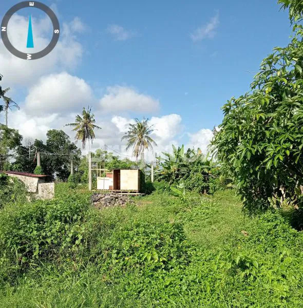 image TANAH 2 ARE DI UBUD COCOK BUAT BANGUN VILLA COMERSIAL (2)