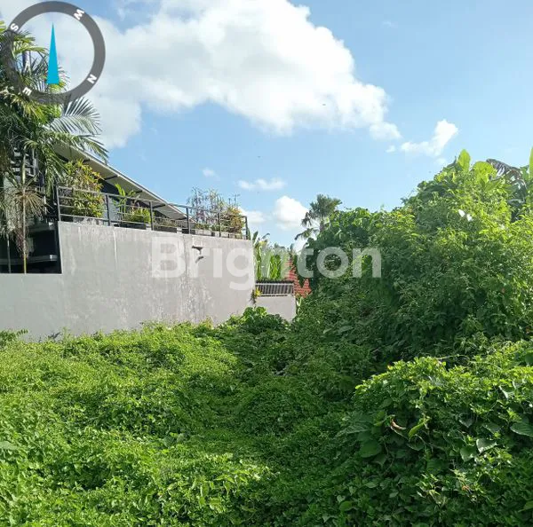image TANAH 2 ARE DI UBUD COCOK BUAT BANGUN VILLA COMERSIAL (3)
