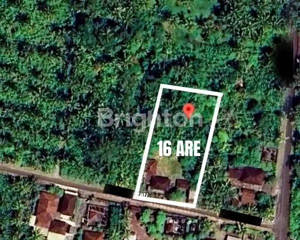 Disewakan CEPAT Tanah 16 Are Area Pekutatan Jembrana