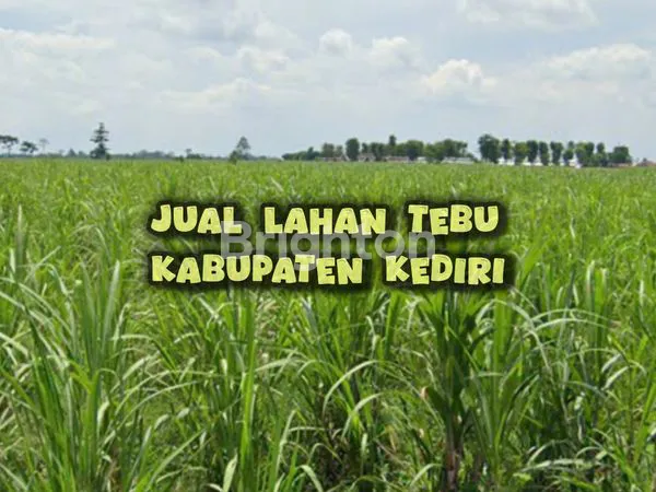 image DIJUAL LAHAN TEBU KEDIRI - SIAP JADI LADANG CUAN (1)