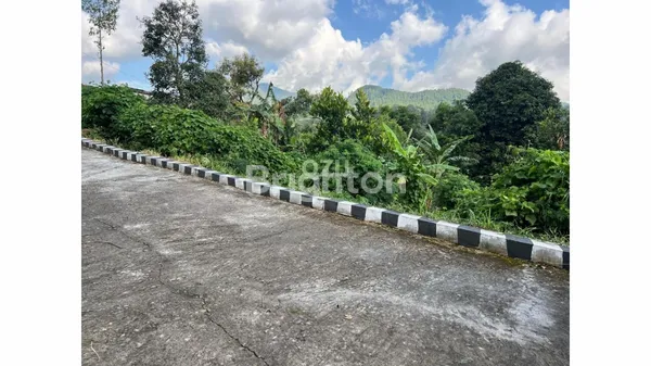 image TANAH DI DATARAN TINGGI KAWASAN WISATA TAWANGMANGU KARANGANYAR. LUAS 1150. STATUS SHM (4)