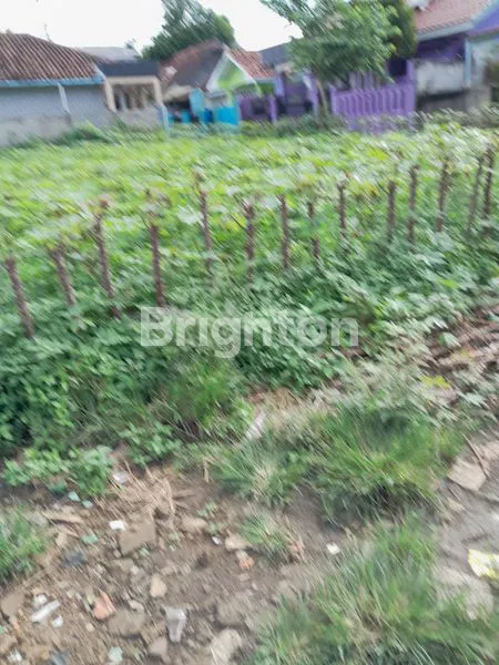 image TANAH DITENGAH PERUMAHAN, COCOK UNTUK DIBUAT RUMAH CLUSTER (2)