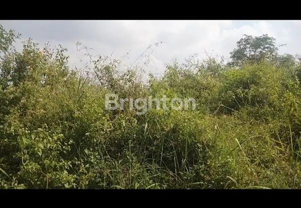 image RAYA CITRA GARDEN ,KEDUNG KANDANG. (1)