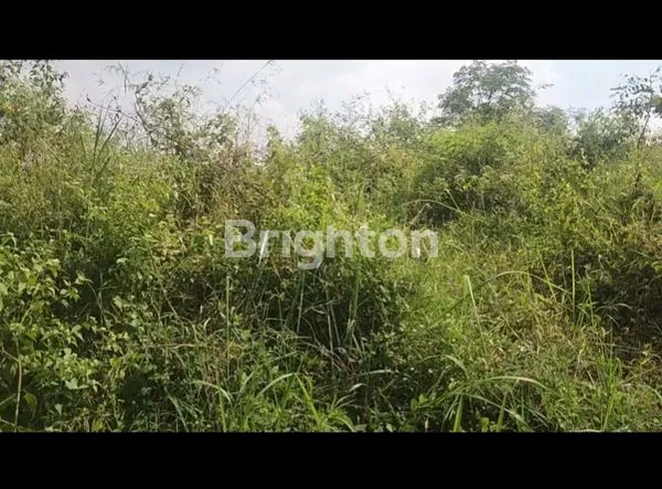 image RAYA CITRA GARDEN ,KEDUNG KANDANG. (3)