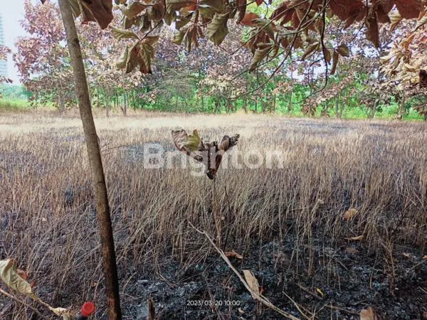 image TANAH PEKARANGAN PALING MURAH (1)