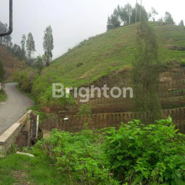 image DIJUAL TANAH KOTAK SIAP BANGUN – JALAN RAYA BROMO (1)