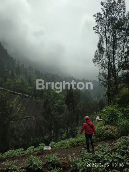 image DIJUAL TANAH KOTAK SIAP BANGUN – JALAN RAYA BROMO (2)