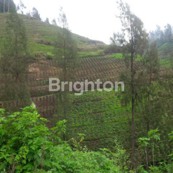 image DIJUAL TANAH KOTAK SIAP BANGUN – JALAN RAYA BROMO (3)