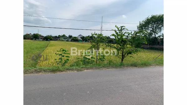 image TANAH DI AREA/ZONA INDUSTRI SUKOHARJO. JALUR ANTAR KOTA. LUAS : 2350M. SHM (3)