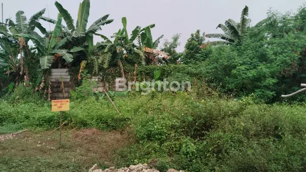 image TANAH DIJUAL DALAM PERUMAHAN KOTA BOGOR  (4)