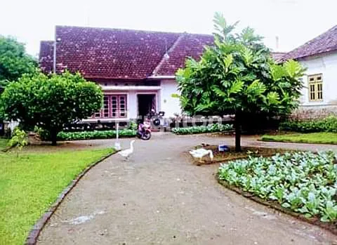 image RUMAH LUAS YANG ASRI DAN NYAMAN (1)