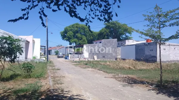 image TANAH GADING WATU DESA BOTENG (1)