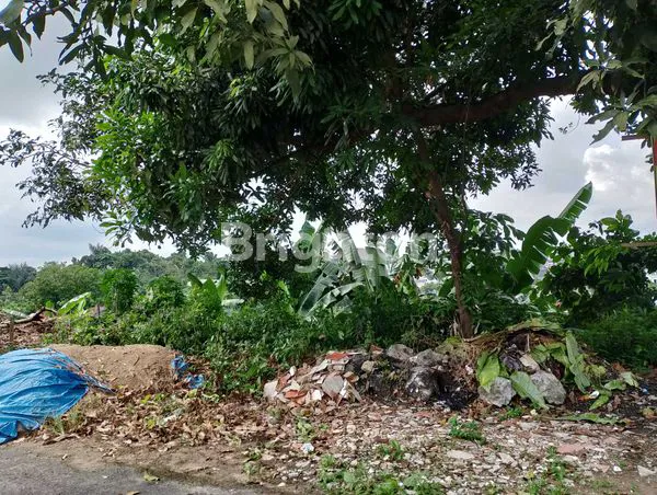 image TANAH DI PUSAT KOTA SAMARINDA DENGAN VIEW PERKOTAAN,DI DATARAN TINGGI,BEBAS BANJIR (1)