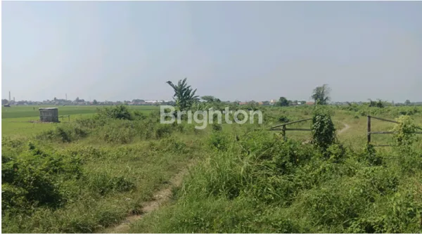 Lahan Industri sudah urug Sebagian Nol jalan Pemalang