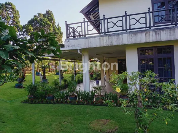 image VILLA NYAMAN DAN ASRI DI CIPANAS (3)