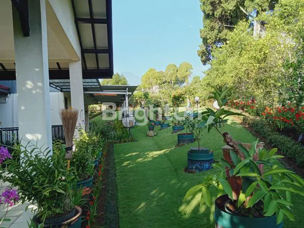 image VILLA NYAMAN DAN ASRI DI CIPANAS (2)