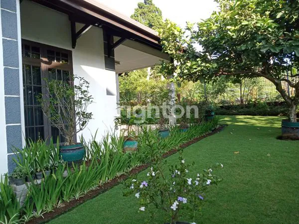 image VILLA SEJUK DAN ASRI DI CIPANAS  (2)