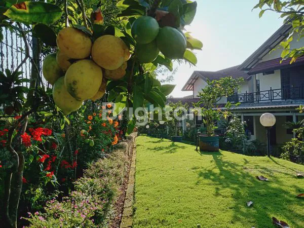 image VILLA SEJUK DAN ASRI DI CIPANAS  (5)