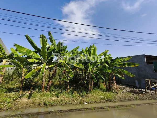 image T/K 3 KAVLING JEJER DI BUMI WONOREJO ASRI SBY TIMUR (1)