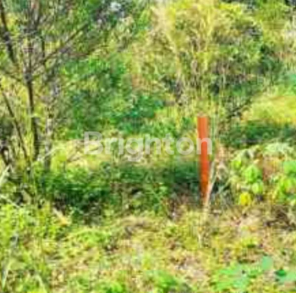 image MURAH . KOMPLEK BAPENAS CINANGKA DEPOK (2)