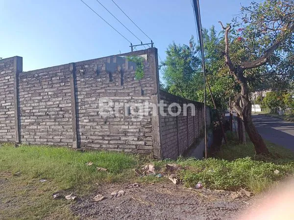 image TANAH 0 JALAN RAYA DI GTESIK, LUAS 1,5 HEKTAR (2)