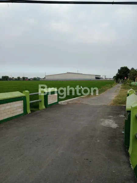 image DIJUAL CEPAT TANAH SAWAH KENONGO PORONG (1)