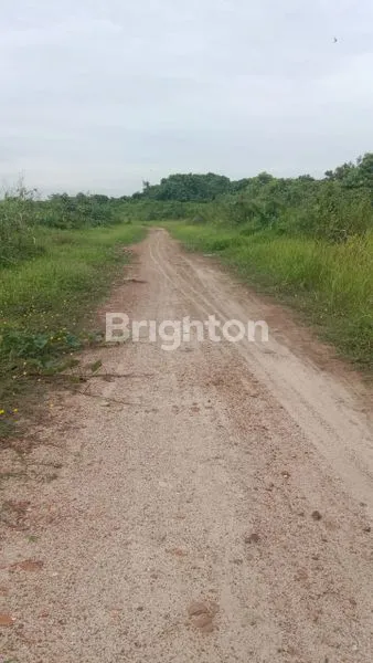 image TANAH 50 HEKTARE DIAREA PENGEMBANGAN KOTA SAMARINDA  (2)