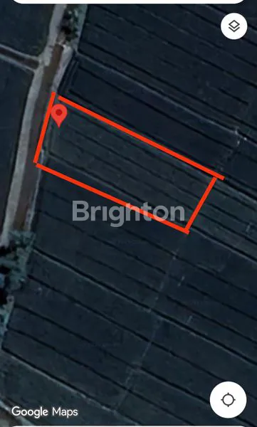 image DI JUAL TANAH (3)