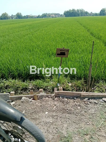 image DIJUAL CEPAT TANAH SAWAH KENONGO PORONG (2)