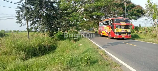 LAHAN INDUSTRI NOL JALAN PROVINSI NGAWI - SOLO, LOKASI STRATEGIS BAGUS AKSES KONTAINER