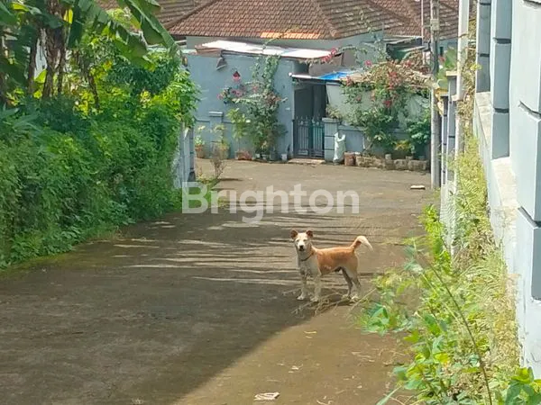 image RUMAH SUASANA TENANG JAUH DARI KEBISINGAN, VIEW SAWAH,JALAN 4 METER (7)