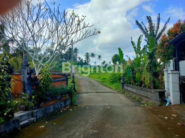 image RUMAH SUASANA TENANG JAUH DARI KEBISINGAN, VIEW SAWAH,JALAN 4 METER (8)