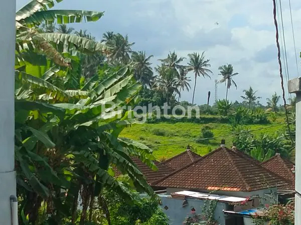 image RUMAH SUASANA TENANG JAUH DARI KEBISINGAN, VIEW SAWAH,JALAN 4 METER (6)