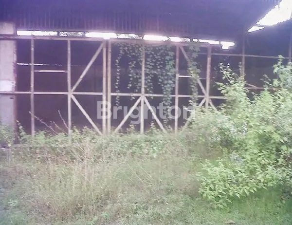 image NEGO SAMPAI DEAL TANAH BANGKLE, BLORA, JAWA TENGAH, BEKAS PENGGERGAJIAN 4980 M2 COCOK UNTUK MINI CLUSTER PABRIK GEDUNG SEKOLAH LAPANGAN BOLA DLL (4)
