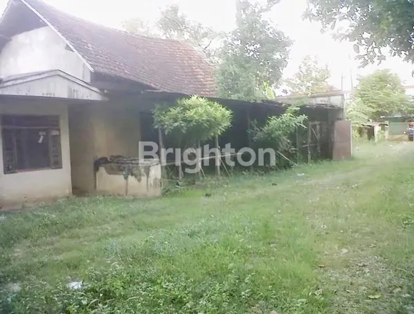 image NEGO SAMPAI DEAL TANAH BANGKLE, BLORA, JAWA TENGAH, BEKAS PENGGERGAJIAN 4980 M2 COCOK UNTUK MINI CLUSTER PABRIK GEDUNG SEKOLAH LAPANGAN BOLA DLL (3)