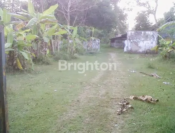 image NEGO SAMPAI DEAL TANAH BANGKLE, BLORA, JAWA TENGAH, BEKAS PENGGERGAJIAN 4980 M2 COCOK UNTUK MINI CLUSTER PABRIK GEDUNG SEKOLAH LAPANGAN BOLA DLL (2)