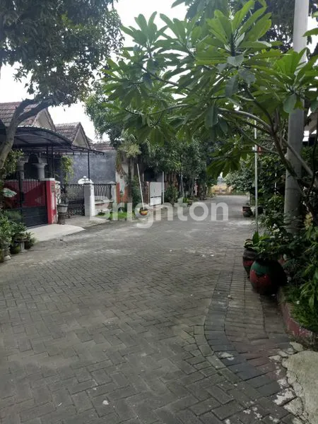 image RUMAH 1 LANTAI SIAP HUNI (7)