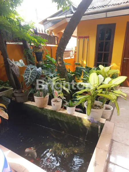 image RUMAH DIJUAL CAKUNG PULO GEBANG JAKTIM (4)