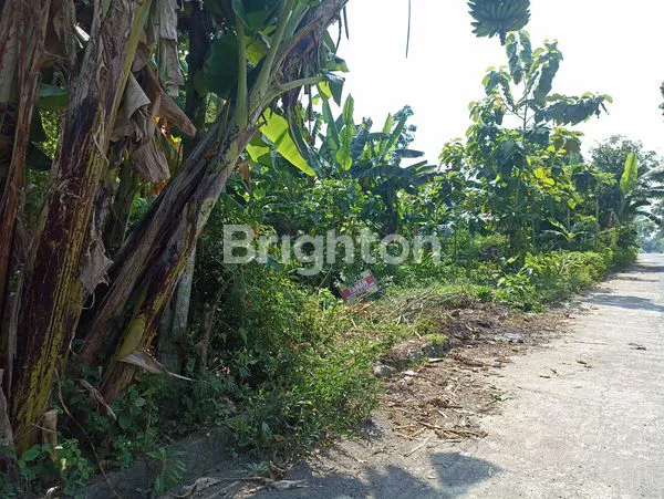 TANAH TERAS BOYOLALI