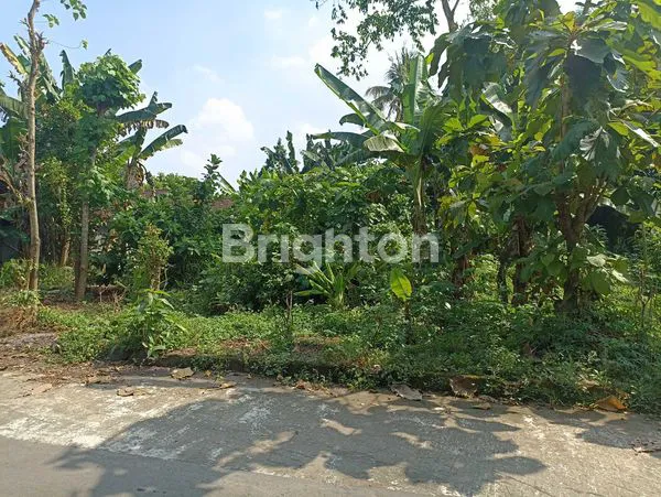 image TANAH TERAS BOYOLALI (2)