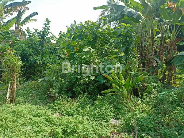 image TANAH TERAS BOYOLALI (3)