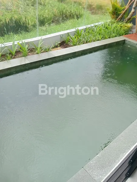 image VILLA KUMARAJIWA UBUD GIANYAR BALI  (4)