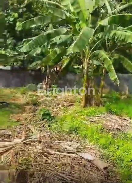 image TANAH STRATEGIS DI CILODONG (2)