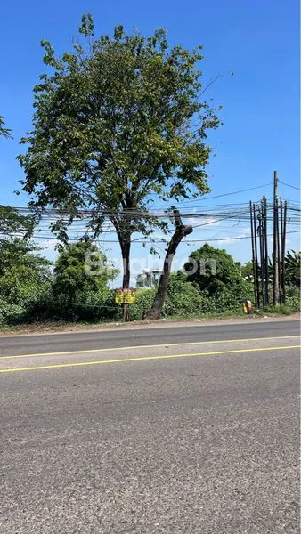 TANAH DIJUAL LOKASI NOL JALAN UTAMA PASURUAN - SURABAYA