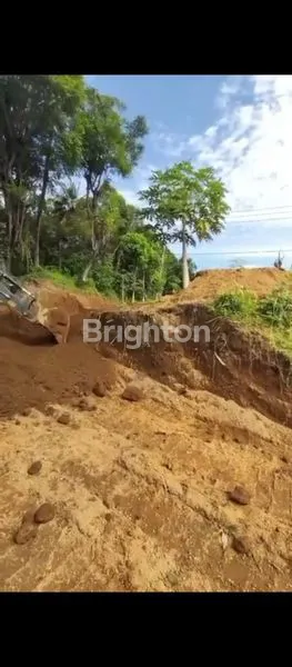 image TANAH KAVLING MURAH BERLOKASI DI DESA MADENAN, KEC. TEJAKUKA, BULELENG, BALI (2)