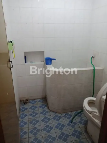 image MANYAR JAYA (3)